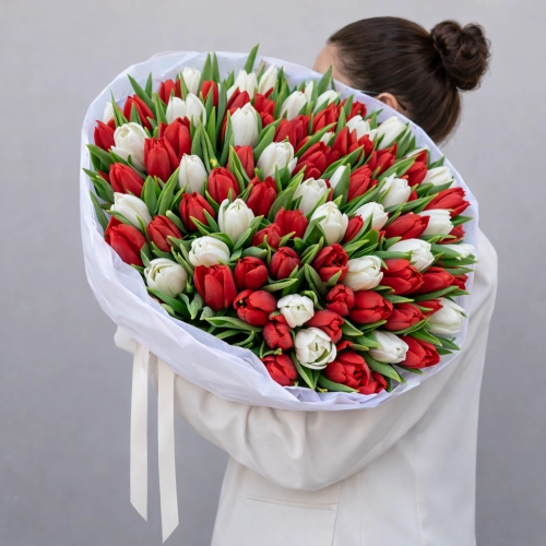 Букет из 101 красного и белого тюльпана