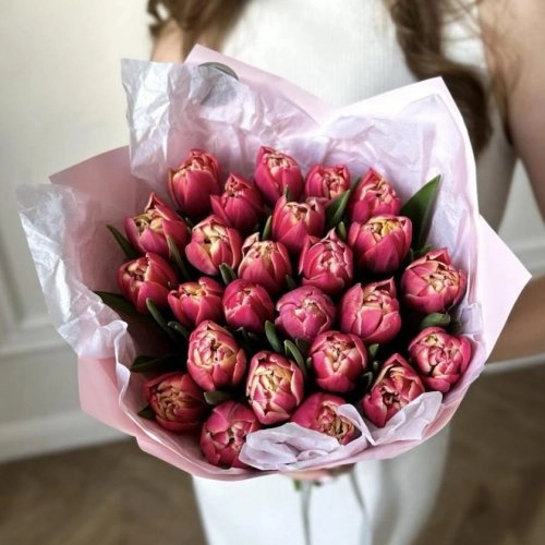 25 пионовидных тюльпана сорта Коламбус